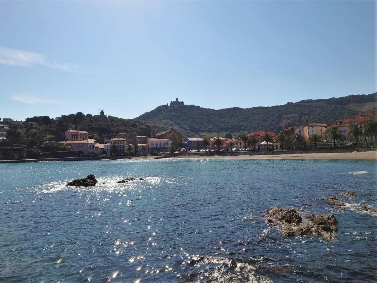 4Rb4 Appartement Type T2 Bord De Mer Acces Plage Direct كولِيورْ المظهر الخارجي الصورة