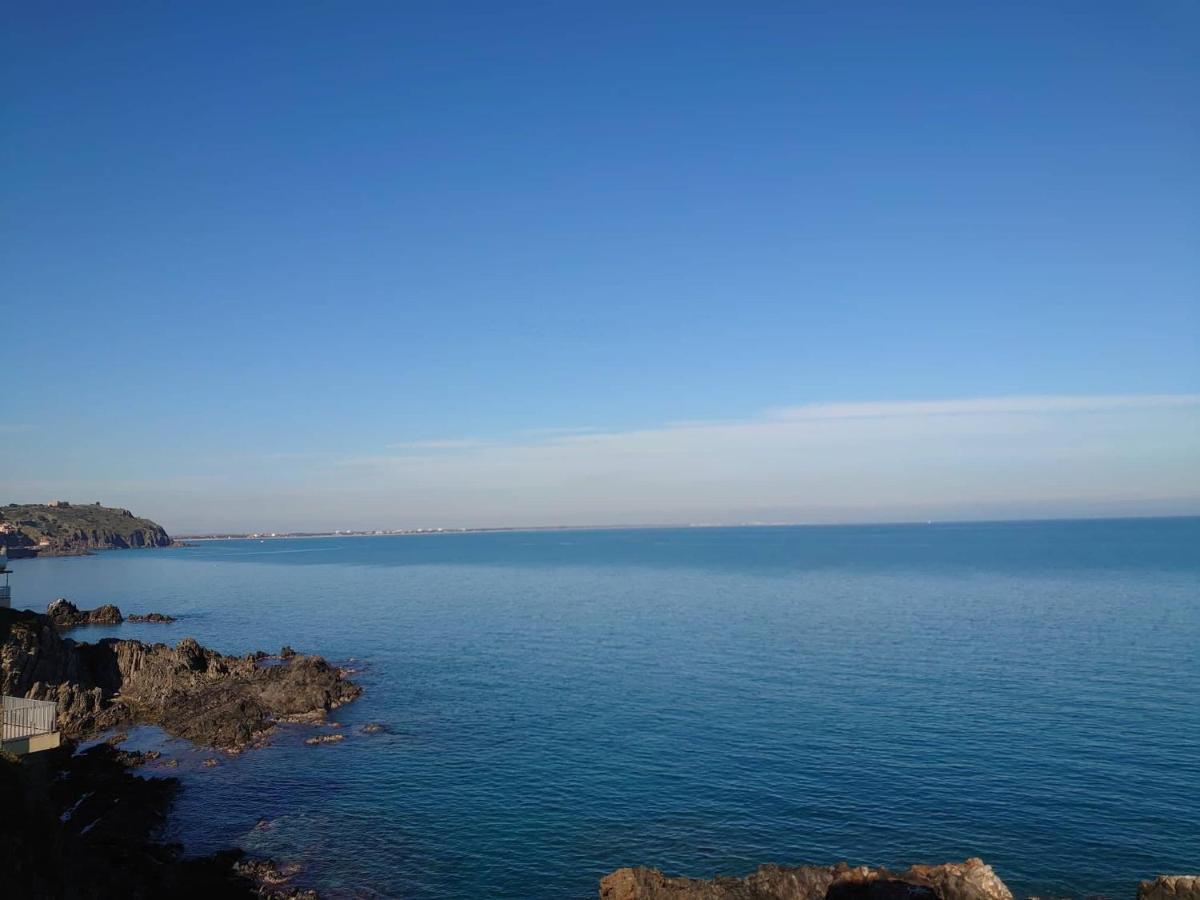 4Rb4 Appartement Type T2 Bord De Mer Acces Plage Direct كولِيورْ المظهر الخارجي الصورة