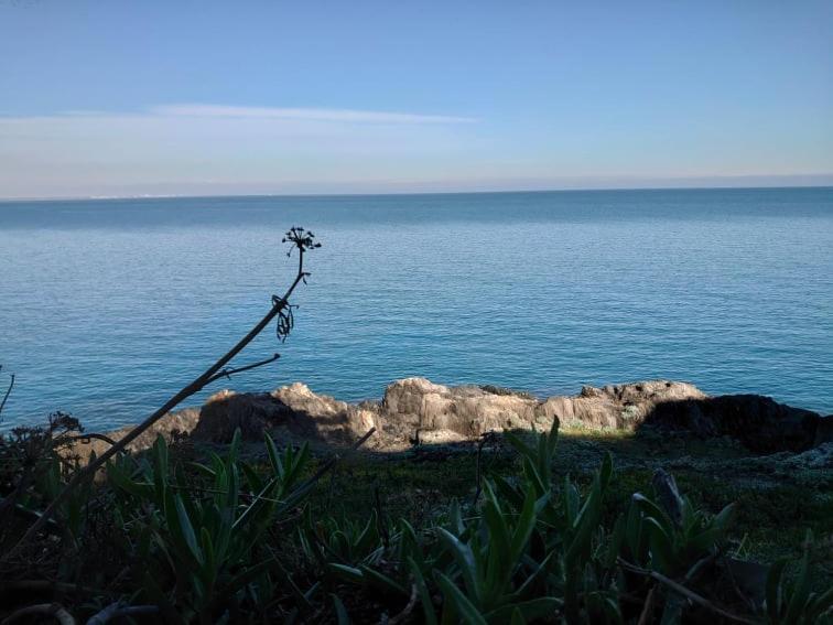 4Rb4 Appartement Type T2 Bord De Mer Acces Plage Direct كولِيورْ المظهر الخارجي الصورة