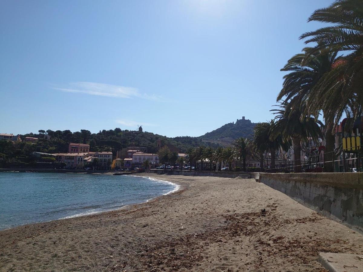 4Rb4 Appartement Type T2 Bord De Mer Acces Plage Direct كولِيورْ المظهر الخارجي الصورة